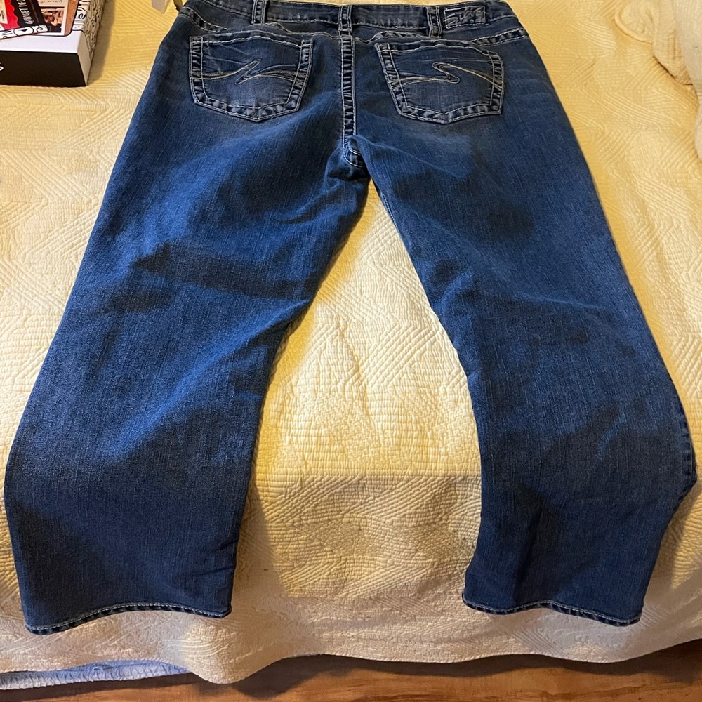 Silver Capris sz 16